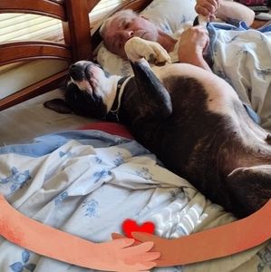 Meet your Posher, Frances